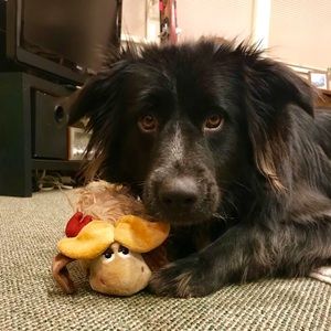 Meet your Posher, Rebecca